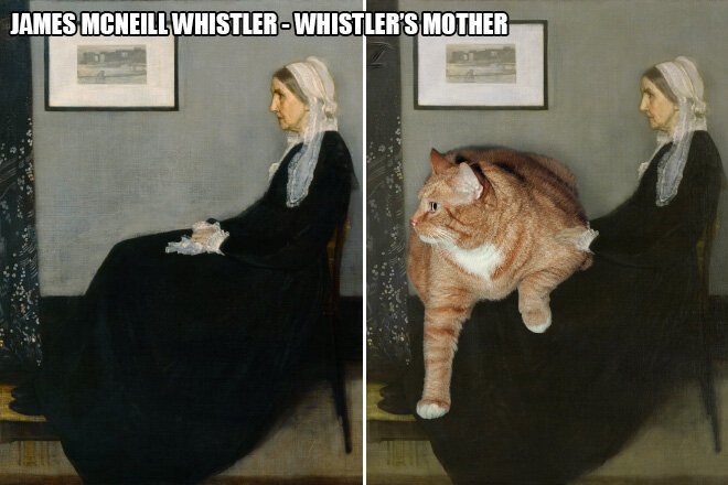 В жизни всегда есть место для рыжего кота! (22 фото) В жизни всегда есть место для рыжего кота! (22 фото)