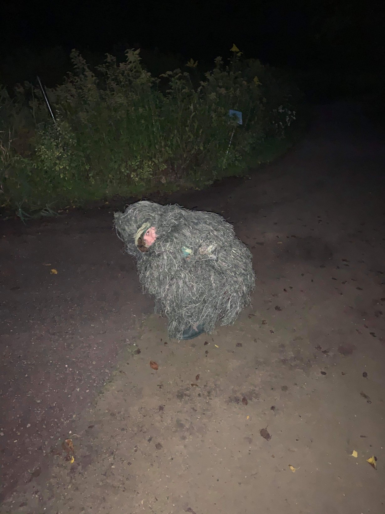 Американка проявила смекалку, чтобы сфотографировать, как ее сестру зовут замуж