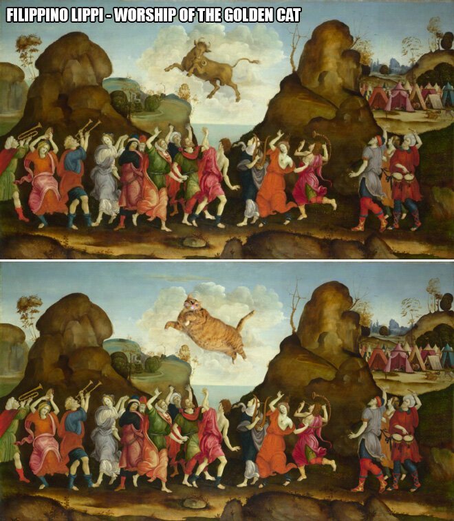 В жизни всегда есть место для рыжего кота! (22 фото) В жизни всегда есть место для рыжего кота! (22 фото)