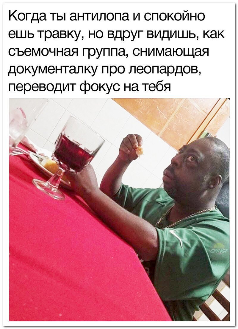 Смешные и необычные комментарии в социальных сетях (21 фото)