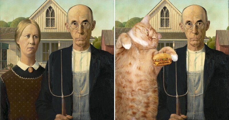 В жизни всегда есть место для рыжего кота! (22 фото) В жизни всегда есть место для рыжего кота! (22 фото)