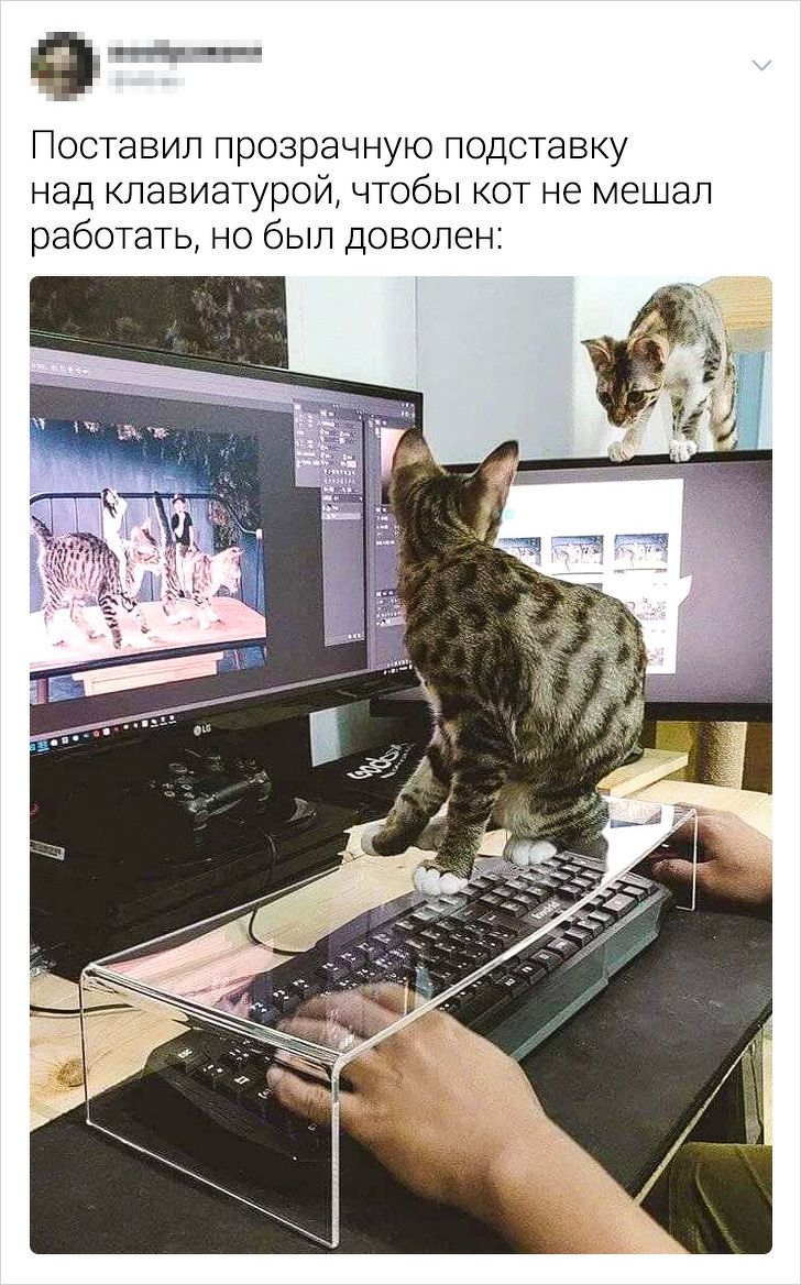 Подборка забавных твитов от находчивых пользователей (17 фото)