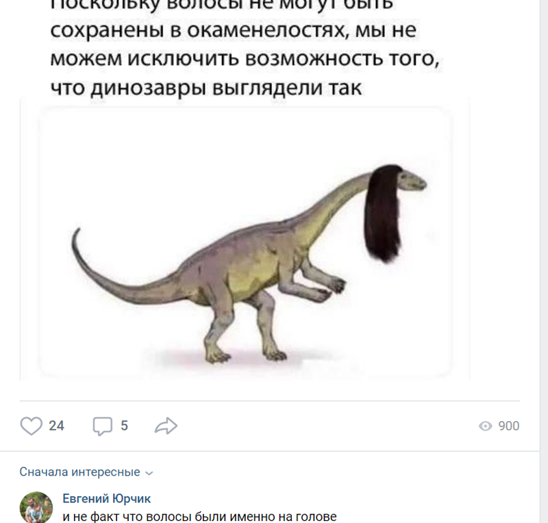 Ещё одна порция оригинальных комментариев в социальных сетях (21 фото)