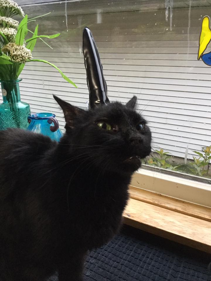 Безумные находки из секонд-хендов и барахолок (20 фото)