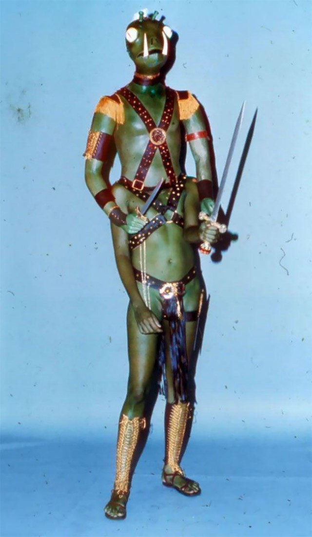 Косплеи из 70-х годов (19 фото)