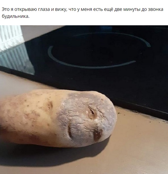 Новый мем: страдающая картошка (13 скриншотов)
