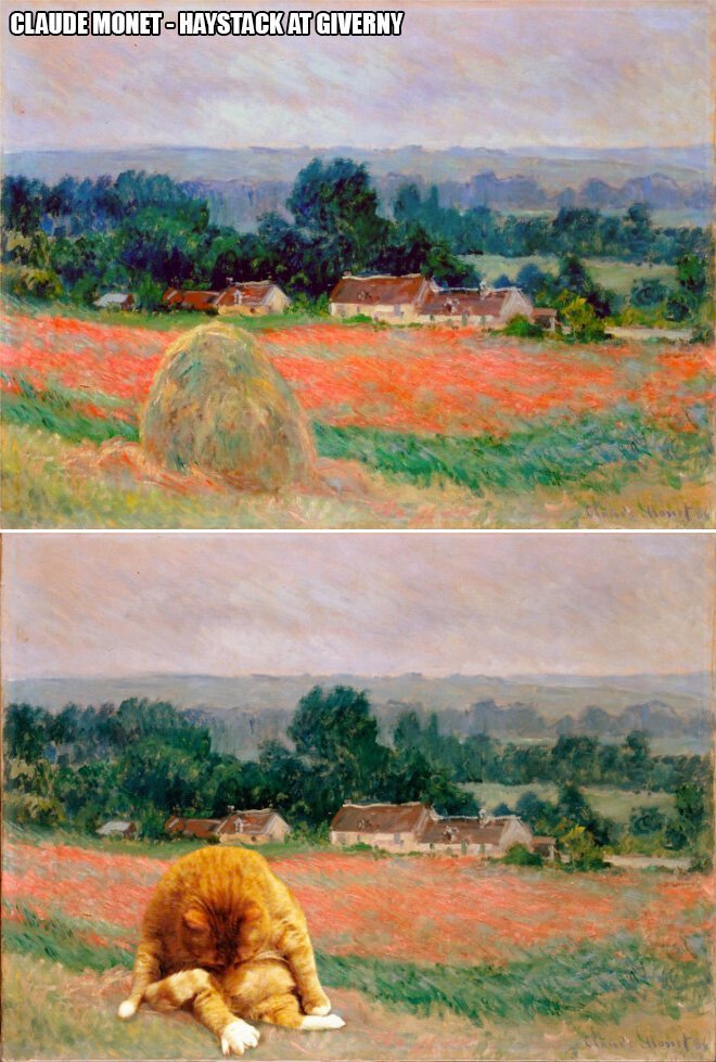 В жизни всегда есть место для рыжего кота! (22 фото) В жизни всегда есть место для рыжего кота! (22 фото)