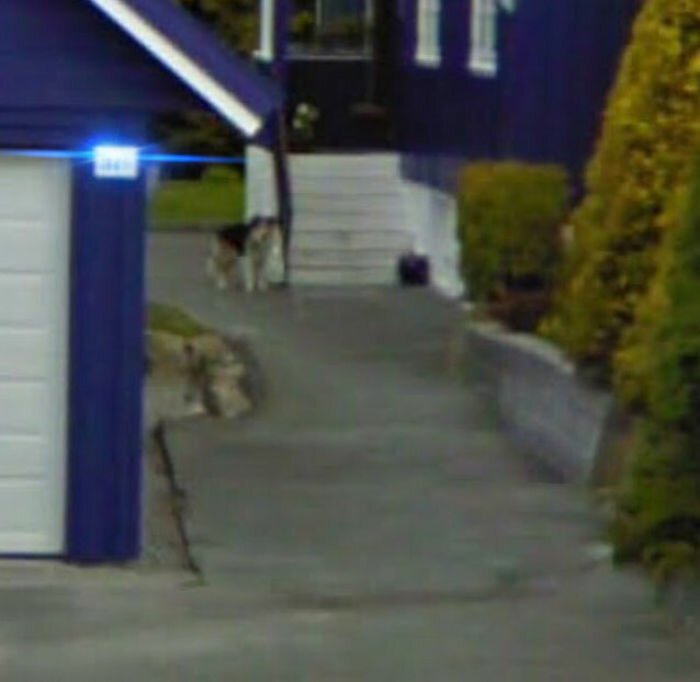 Снимки Google Street View помогают вновь встретиться с любимыми (17 фото)