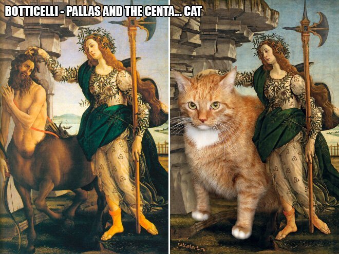 В жизни всегда есть место для рыжего кота! (22 фото) В жизни всегда есть место для рыжего кота! (22 фото)