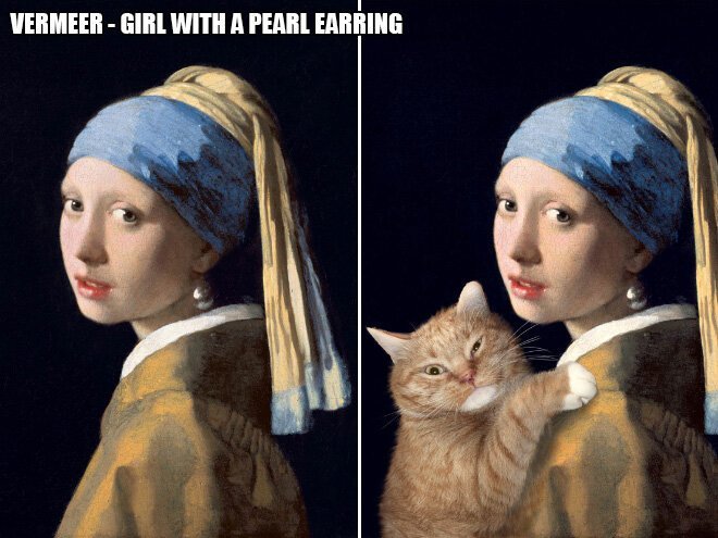 В жизни всегда есть место для рыжего кота! (22 фото) В жизни всегда есть место для рыжего кота! (22 фото)