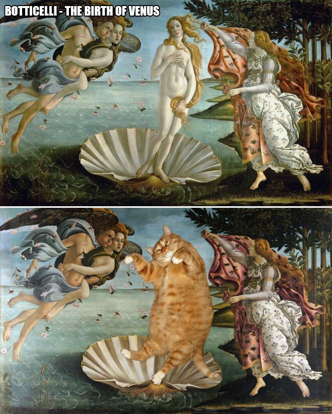 В жизни всегда есть место для рыжего кота! (22 фото) В жизни всегда есть место для рыжего кота! (22 фото)