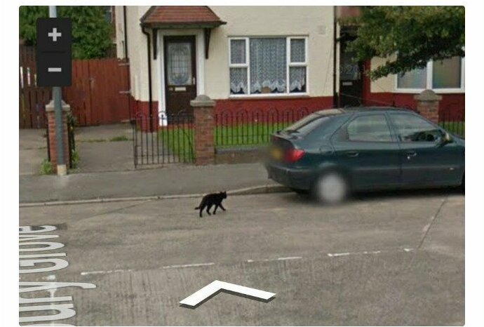 Снимки Google Street View помогают вновь встретиться с любимыми (17 фото)