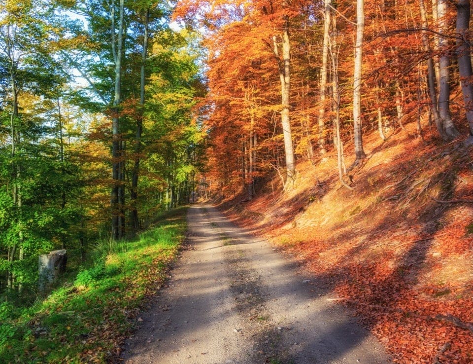 Странные совпадения, которые заставят поверить, что мы живём в матрице (17 фото)