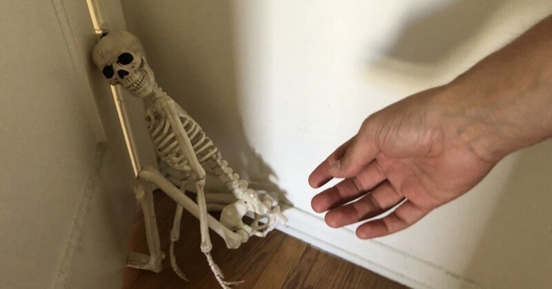 "Он был так напуган, когда мы принесли его домой два дня назад": мужчина "спас" брошенный скелет (11 фото) "Он был так напуган, когда мы принесли его домой два дня назад": мужчина "спас" брошенный скелет (11 фото)