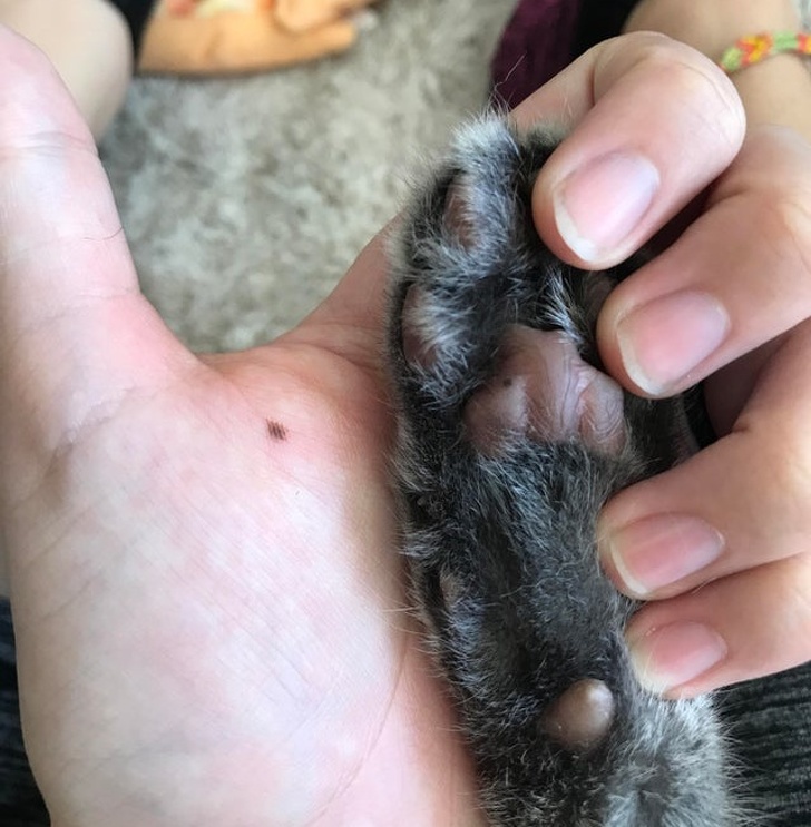 Интересные находки от внимательных людей (17 фото)