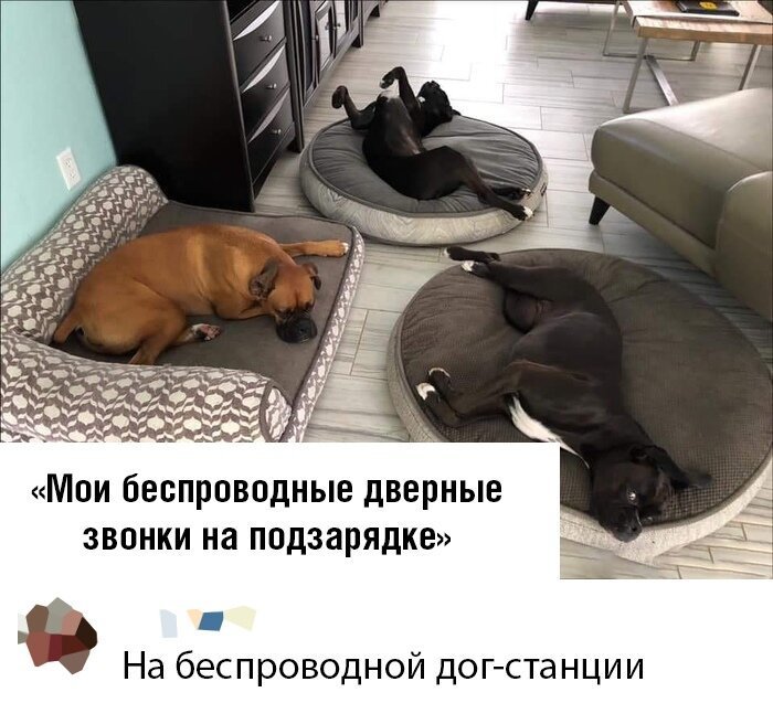 Ещё одна порция оригинальных комментариев в социальных сетях (21 фото)