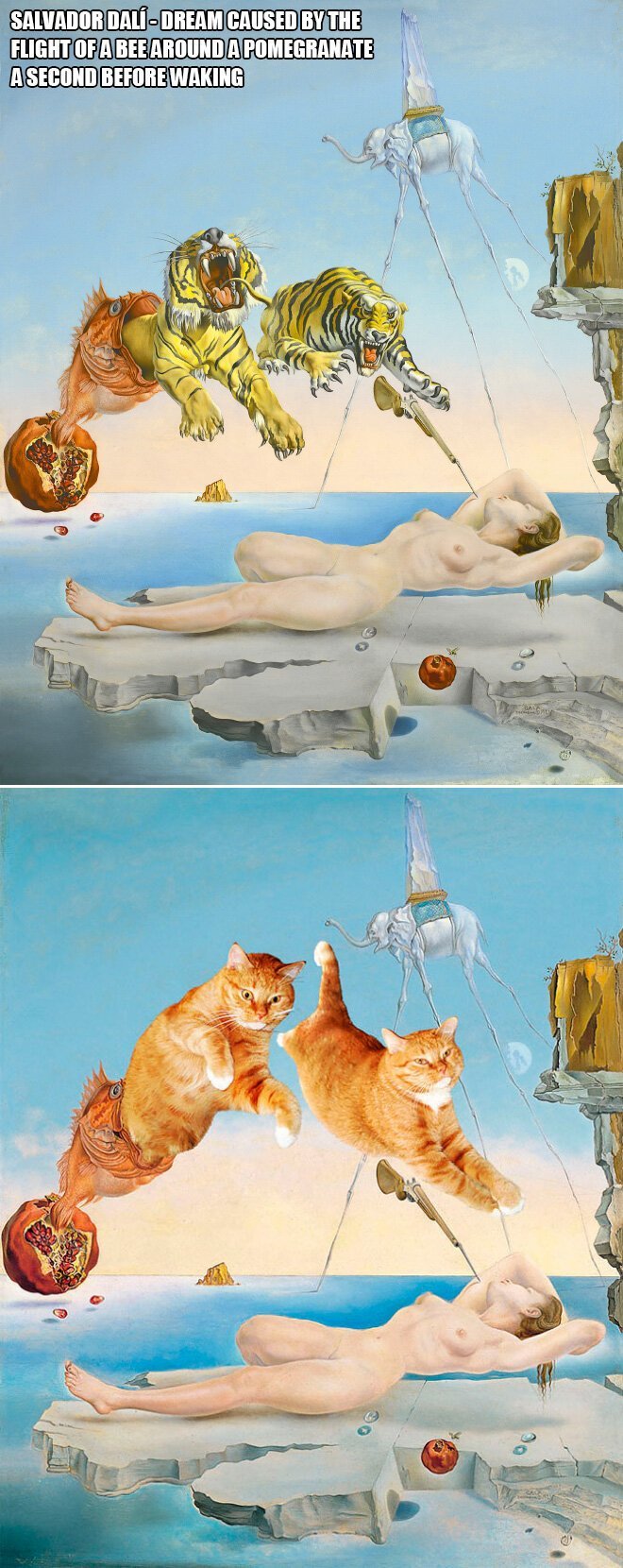 В жизни всегда есть место для рыжего кота! (22 фото) В жизни всегда есть место для рыжего кота! (22 фото)