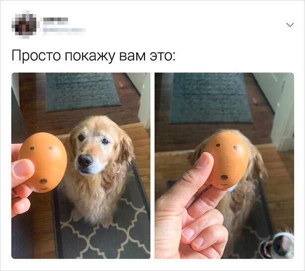 Забавные твиты от людей с нестандартным мышлением (16 фото)