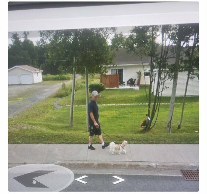 Снимки Google Street View помогают вновь встретиться с любимыми (17 фото)