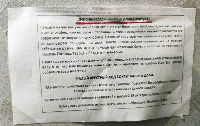Когда ловушки и дихлофосы не работают, настает время для по-настоящему серьезных мер