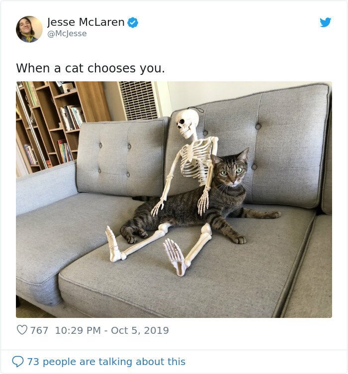 "Он был так напуган, когда мы принесли его домой два дня назад": мужчина "спас" брошенный скелет (11 фото) "Он был так напуган, когда мы принесли его домой два дня назад": мужчина "спас" брошенный скелет (11 фото)