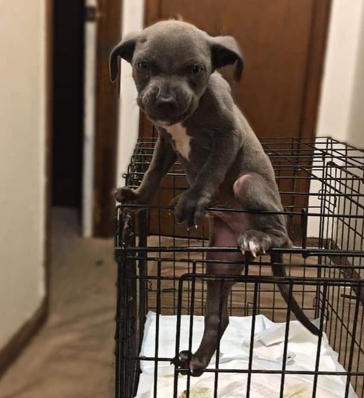 Остроумные подписи под забавными фотографиями (15 фото) Остроумные подписи под забавными фотографиями (15 фото)