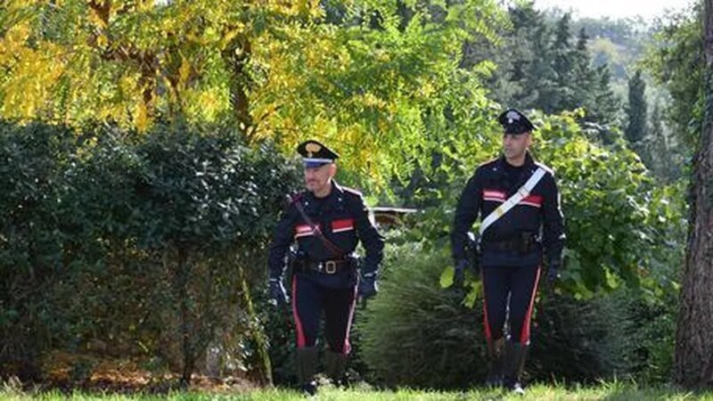 Кабаны из Италии устроили вечеринку с кокаином (2 фото) Кабаны из Италии устроили вечеринку с кокаином (2 фото)