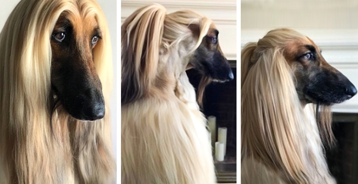 Остроумные подписи под забавными фотографиями (15 фото) Остроумные подписи под забавными фотографиями (15 фото)