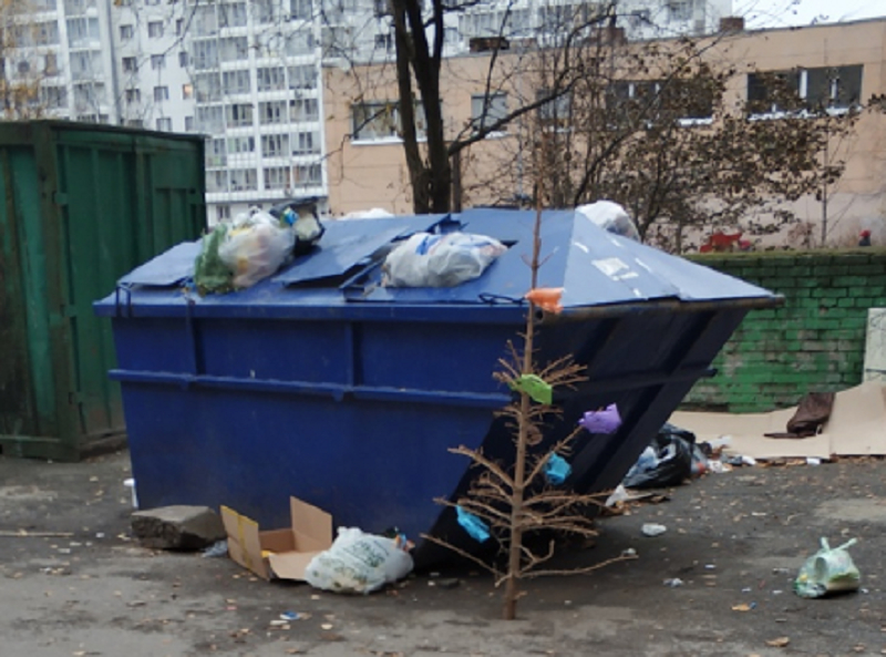 "Последний сдался": в Питере слабак выкинул на помойку остатки ёлки (3 фото)