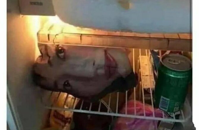 Фотографии, показывающие, почему не стоит злить женщин (13 фото)