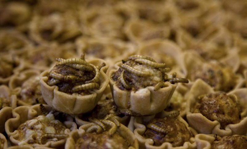 13 экстремальных блюд, которые не каждый рискнет попробовать