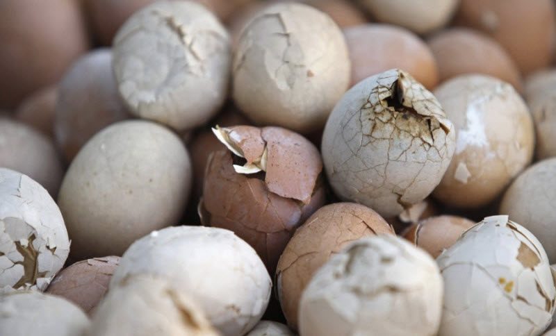 13 экстремальных блюд, которые не каждый рискнет попробовать