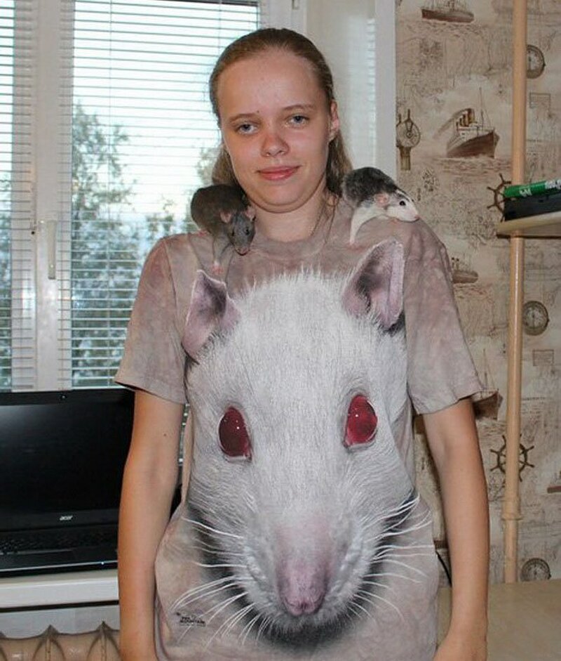 Дизайн - это дело для профессионалов (20 фото)