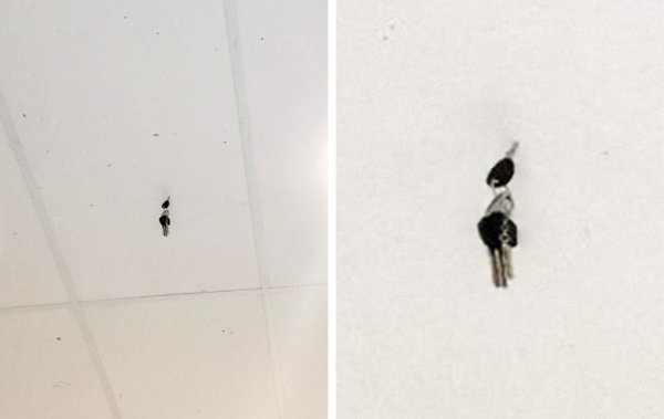 Подборка "нежданчиков" и неудач (15 фото)