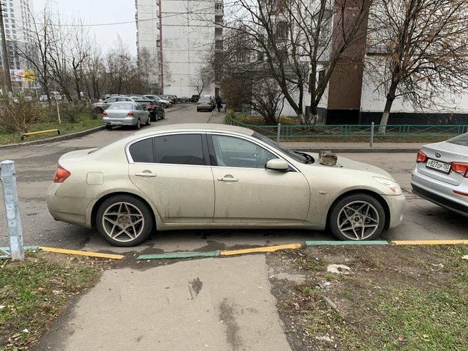 Фотографии, показывающие, почему не стоит злить женщин (13 фото)