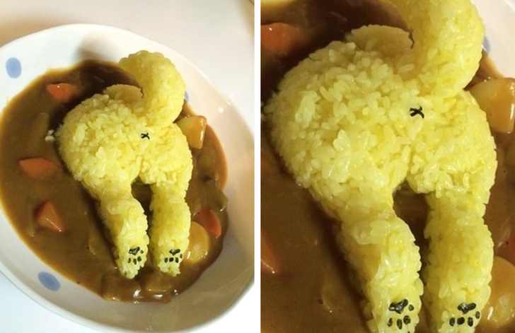 Остроумные подписи под забавными фотографиями (15 фото) Остроумные подписи под забавными фотографиями (15 фото)