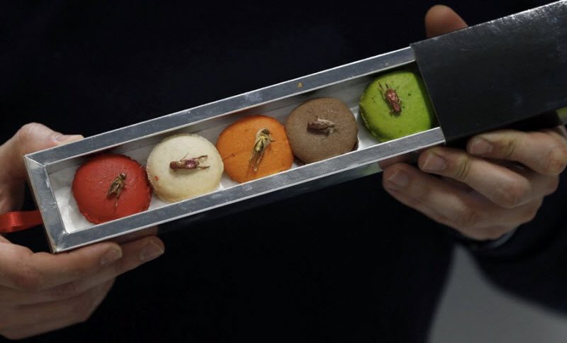 13 экстремальных блюд, которые не каждый рискнет попробовать