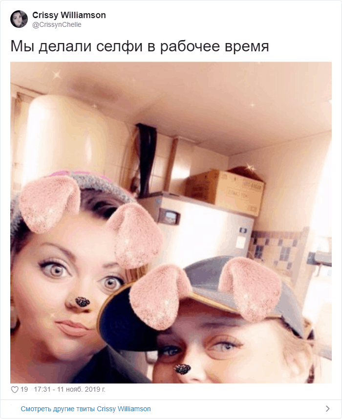 Тред в Твиттере: "А потом меня уволили" (20 фото)