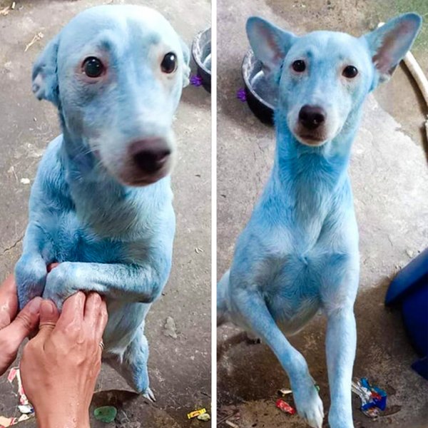 Подборка "нежданчиков" и неудач (15 фото)