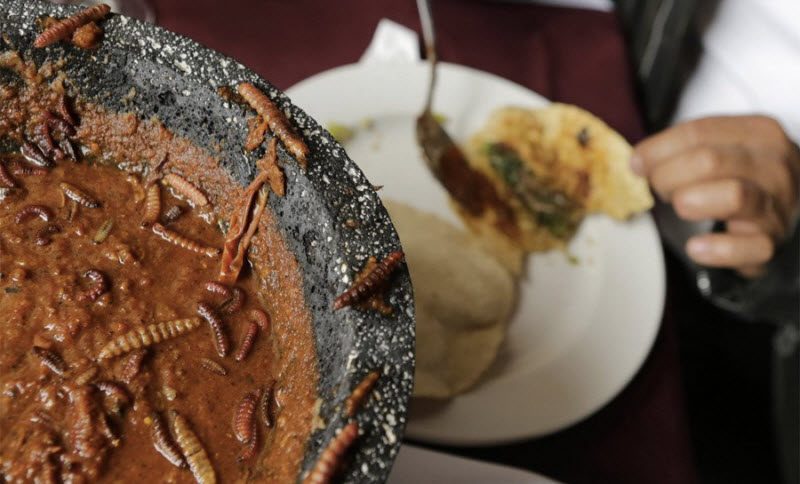 13 экстремальных блюд, которые не каждый рискнет попробовать