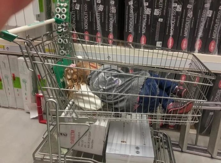 Ох, уж эта детская непосредственность (18 фото) Ох, уж эта детская непосредственность (18 фото)