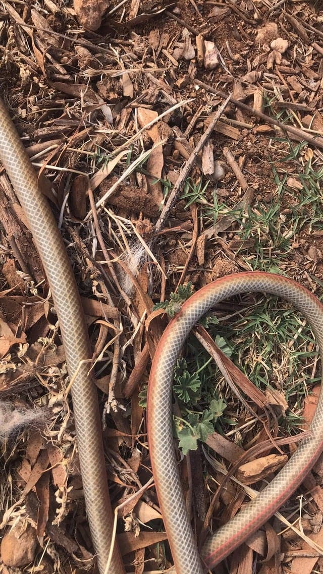 Посмотрите на эти жуткие фото, которые чуть не довели людей до инфаркта (20 фото) Посмотрите на эти жуткие фото, которые чуть не довели людей до инфаркта (20 фото)