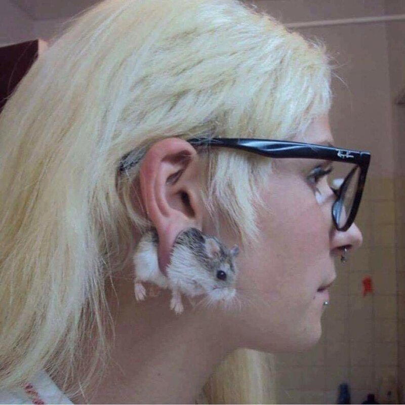 Дизайн - это дело для профессионалов (20 фото)