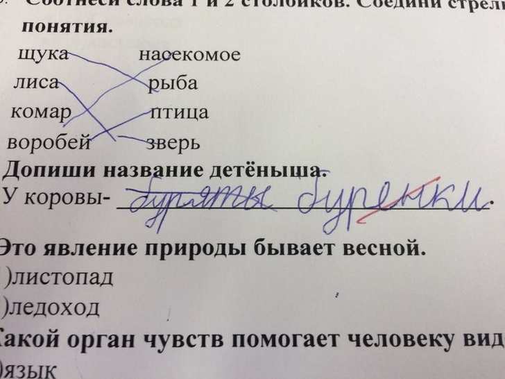 Ох, уж эта детская непосредственность (18 фото) Ох, уж эта детская непосредственность (18 фото)