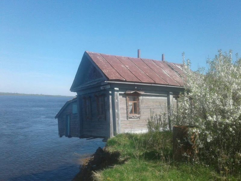 Бывают в жизни огорчения (40 фото)