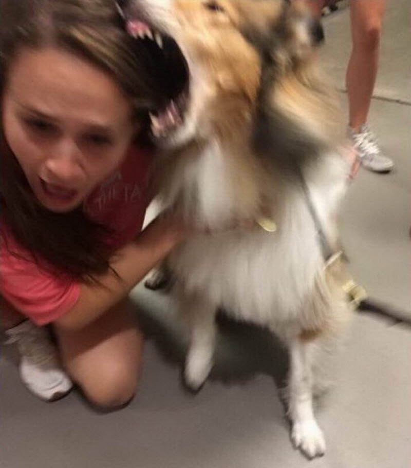 Бывают в жизни огорчения (40 фото) Бывают в жизни огорчения (40 фото)