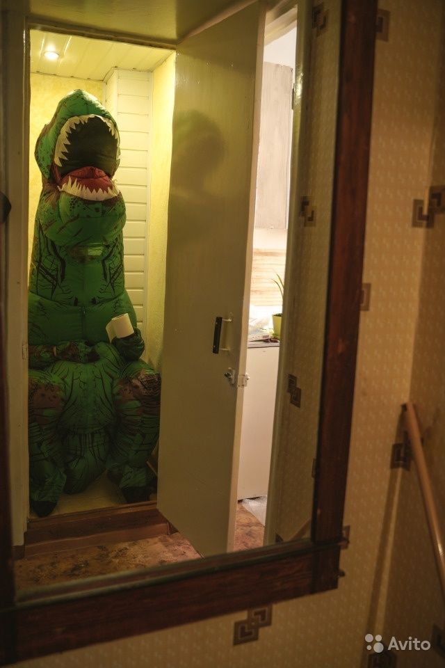 Оригинальное объявление о сдаче квартиры в Тюмени (10 фото)