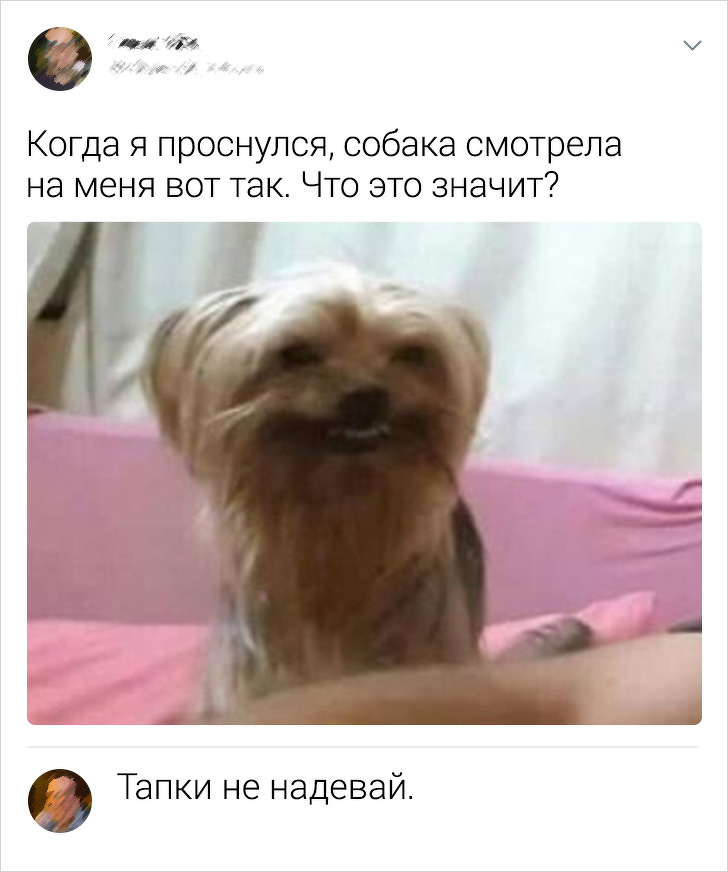 Подборка искрометных комментариев из соцсетей (18 фото)