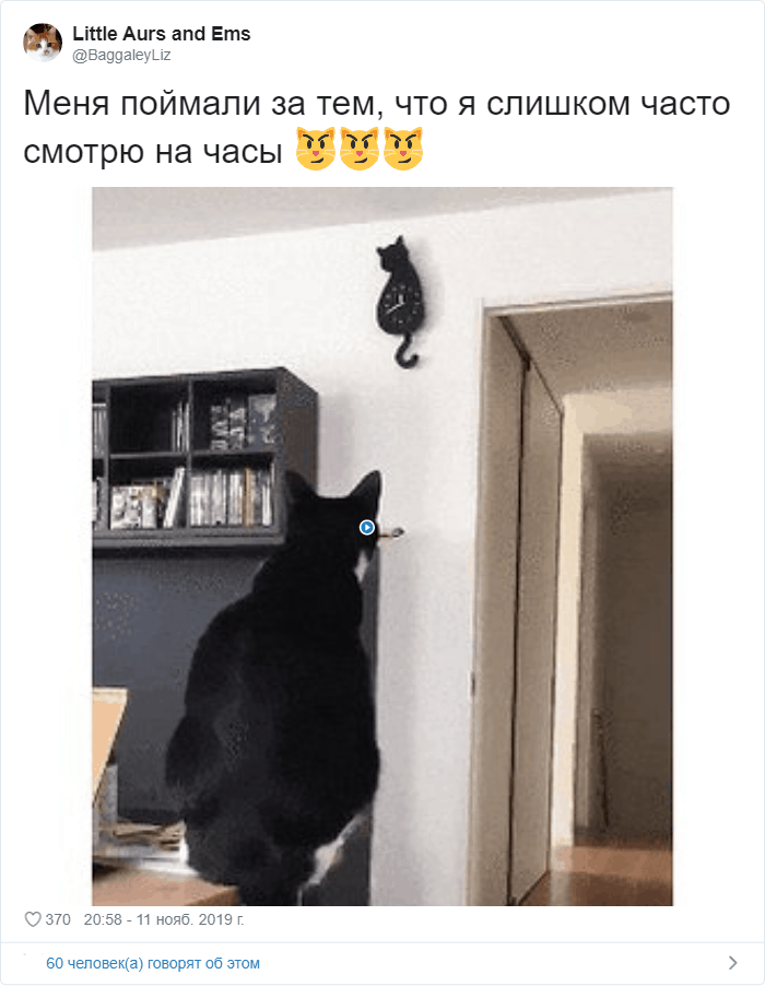 Тред в Твиттере: "А потом меня уволили" (20 фото)