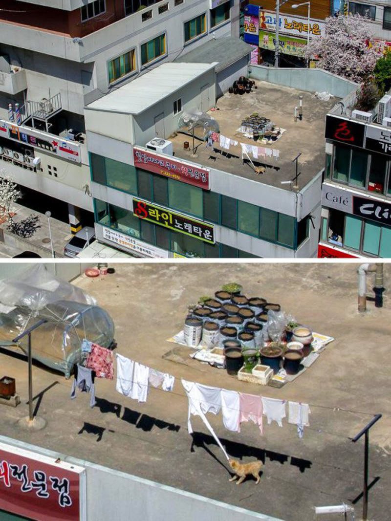 17 фотографий, на которых происходит что-то очень странное (17 фото)